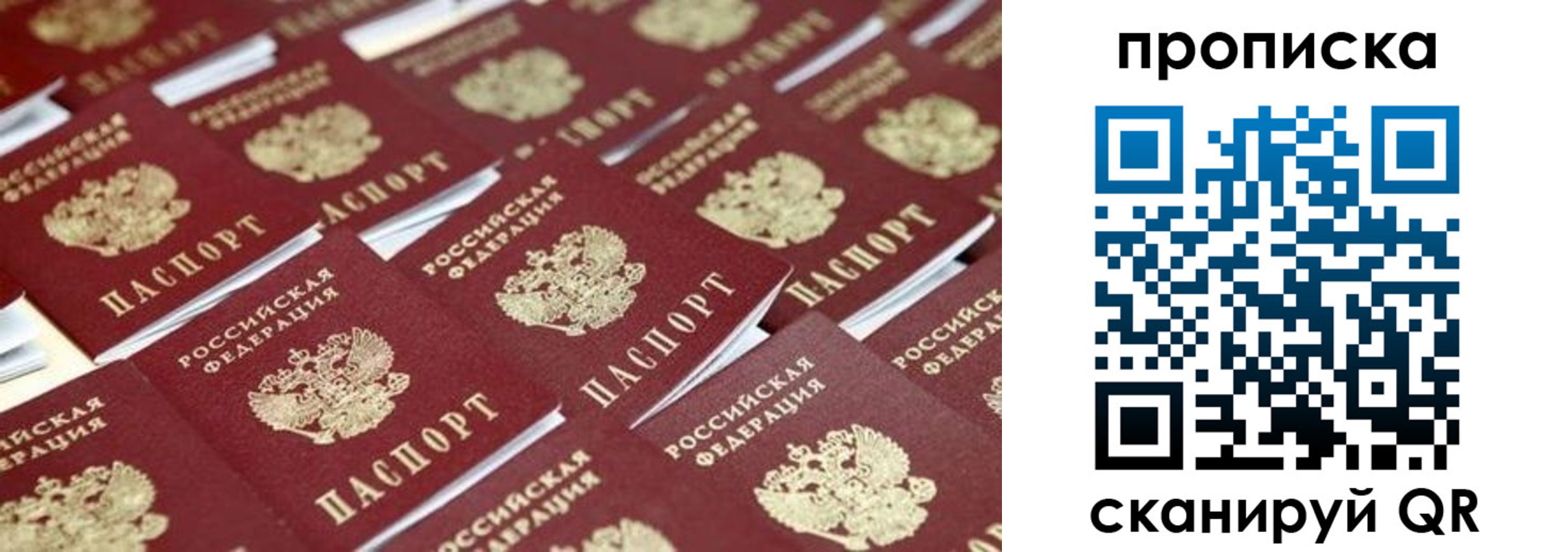 регистрация для школы в Сосновом Бору